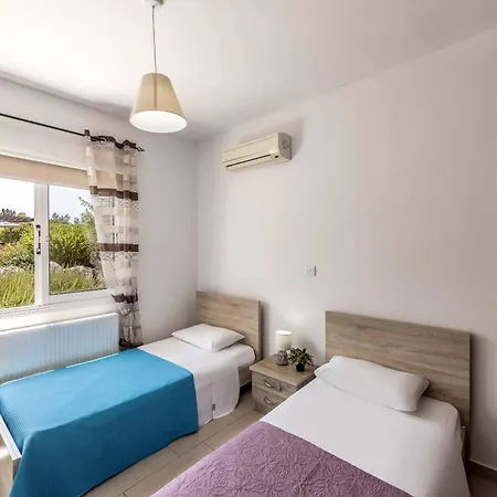 فيلة Orange Tree لاشي