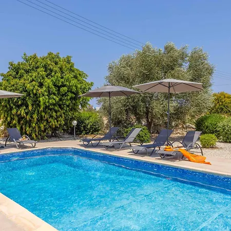 فيلة Orange Tree