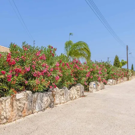 Orange Tree فيلة لاشي