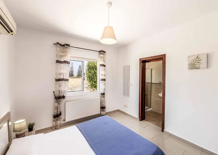 Orange Tree * Λατσί