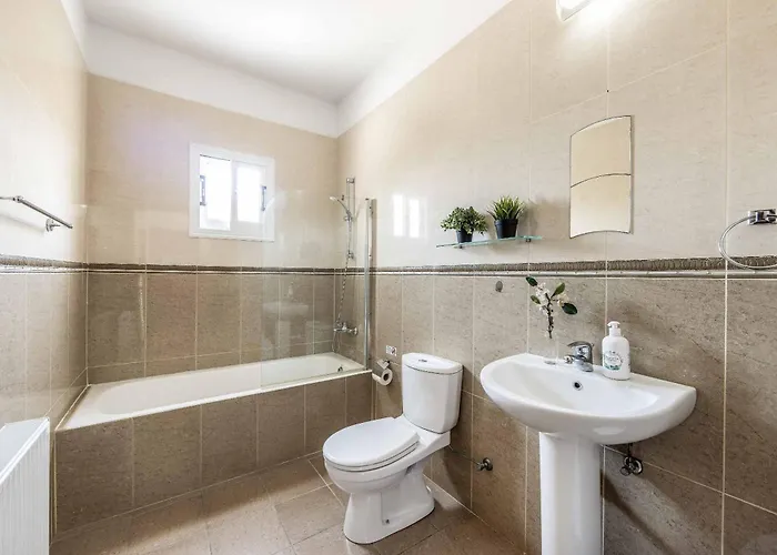 Orange Tree * Λατσί