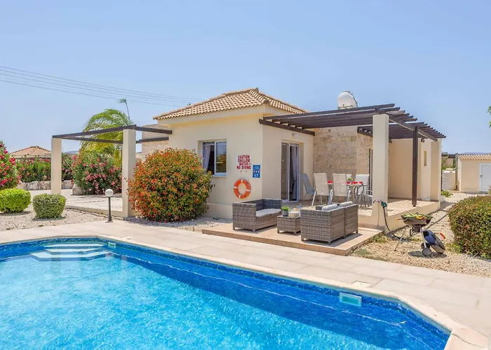 Orange Tree * Λατσί