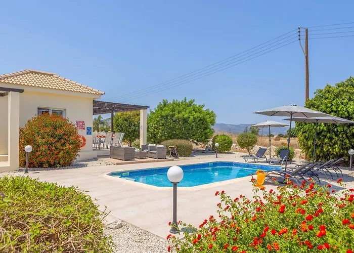 Orange Tree * Λατσί